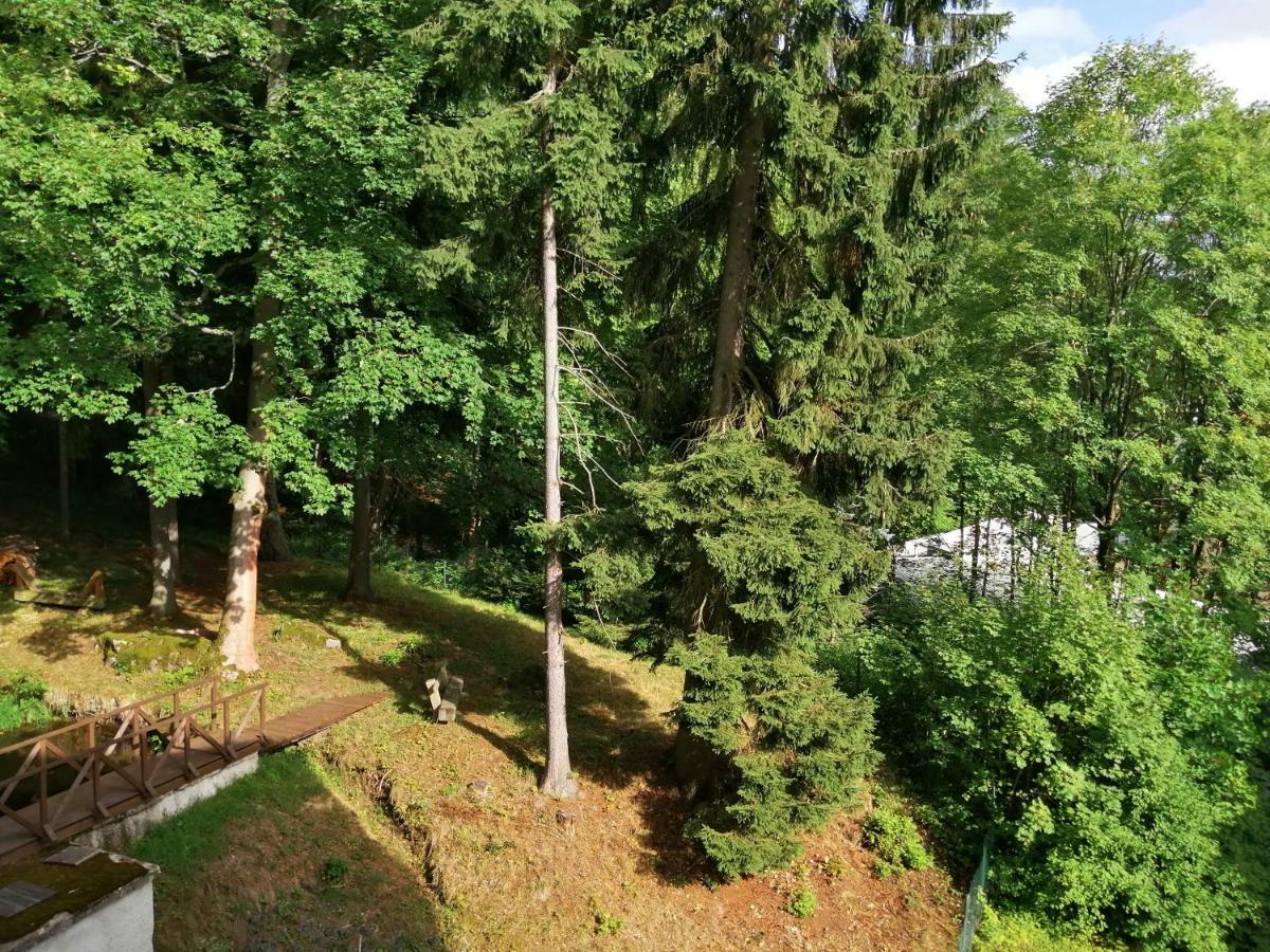 Parkhotel Forest Mariánské Lázně Kültér fotó